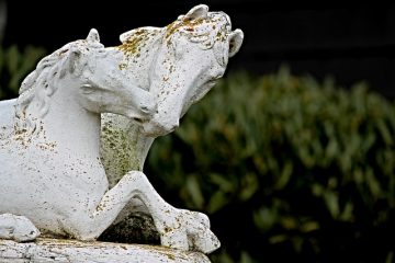 Comment faire des animaux en pierre de rocaille de jardin de rocaille