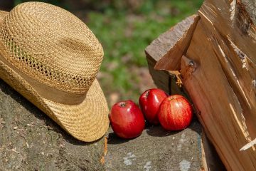 Comment faire un chapeau ajusté plus petit