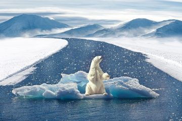 Comment le réchauffement climatique nous affecte-t-il ?