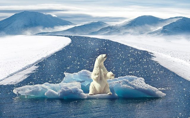 Comment le réchauffement climatique nous affecte-t-il ?