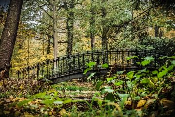 Comment nettoyer un étang de jardin