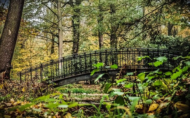 Comment nettoyer un étang de jardin