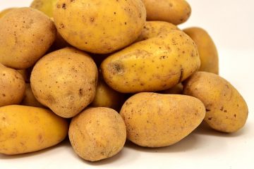 Comment rôtir les pommes de terre Charlotte