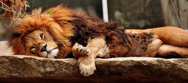 Positions de sommeil pour la post-hystérectomie