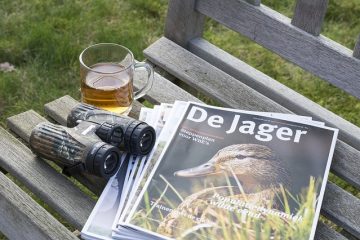 Chaînes alimentaires dans la forêt de feuillus