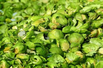 Comment blanchir Shock Brussels Sprouts