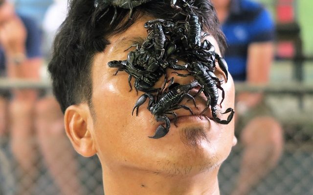 Comment capturer un homme Scorpion