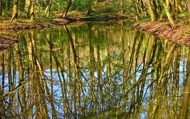 Comment construire des étangs à poissons en béton