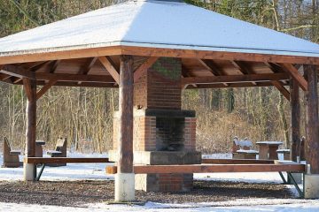 Comment diviser de grands troncs d'arbres pour le bois