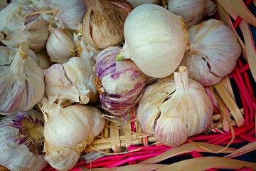 Comment se débarrasser d'un rhume avant qu'il ne se mette en marche ?