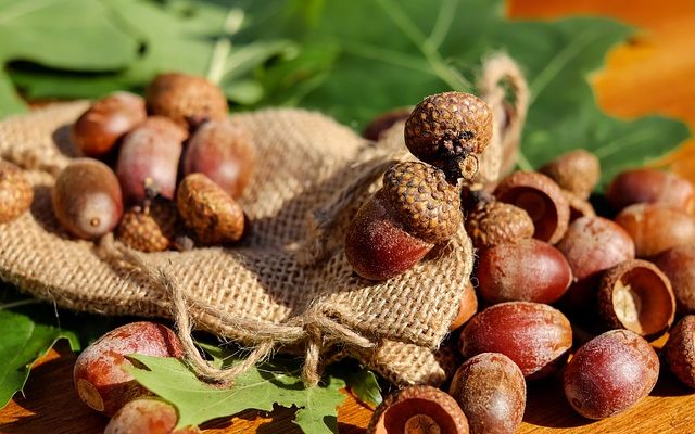 Comment traiter les glandes gonflées du cou