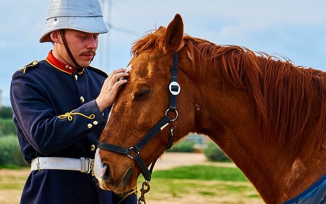 Les métiers de l'équitation dans l'armée