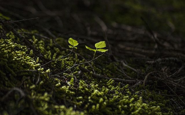 Quand faut-il changer le liquide de direction assistée ?