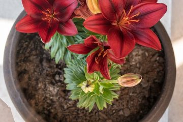 Que pouvez-vous faire avec des pots de fleurs ?