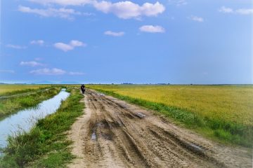 Bardeaux internes symptômes du zona