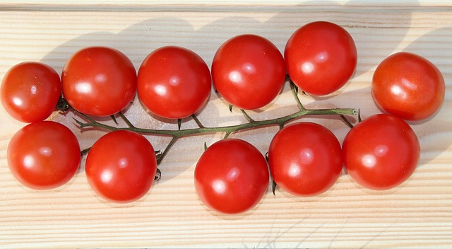 Calendrier de plantation de légumes