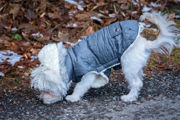 Causes des odeurs de poisson sur les vêtements