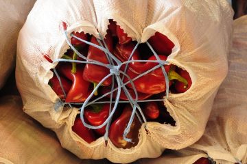 Comment conserver les poivrons rouges rôtis maison