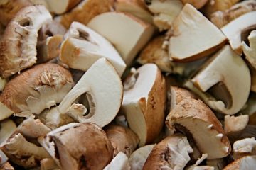 Comment cultiver des champignons dans un grand contenant ou une poubelle