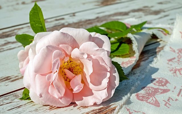 Comment faire le parfum de pétale de rose de pétale de rose