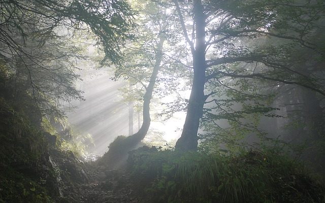 Comment faire pour voir dans un pistolet avec des vues à ciel ouvert