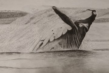 Comment faire une vie de géant Jonah's Whale Jonah's Whale
