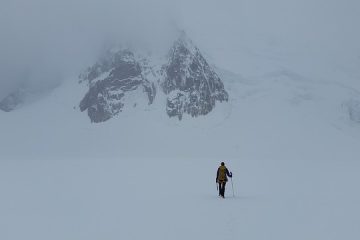 Comment les animaux s'adaptent-ils dans le désert froid ?