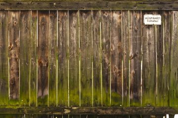 Comment réparer les portes en bois