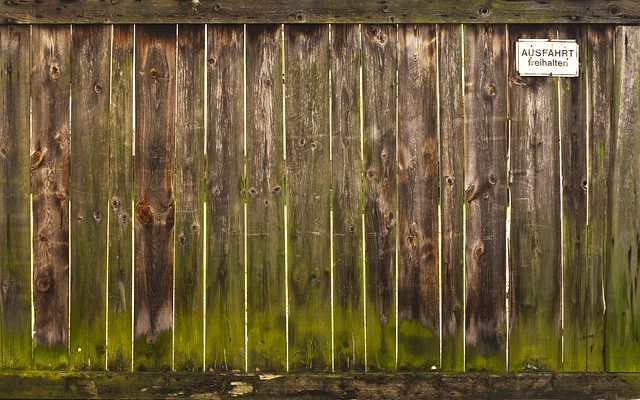 Comment réparer les portes en bois