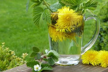 Comment réparer l'herbe que j'ai brûlée avec de l'engrais