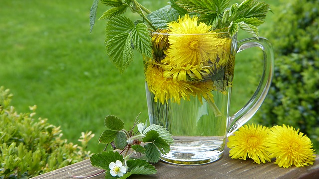 Comment réparer l'herbe que j'ai brûlée avec de l'engrais