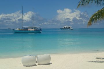 Comment se débarrasser des moisissures et des algues sur les sièges de bateau en cuir