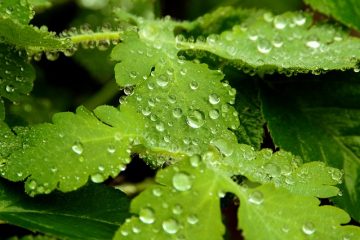 Les meilleurs endroits pour vivre avec un taux d'humidité faible