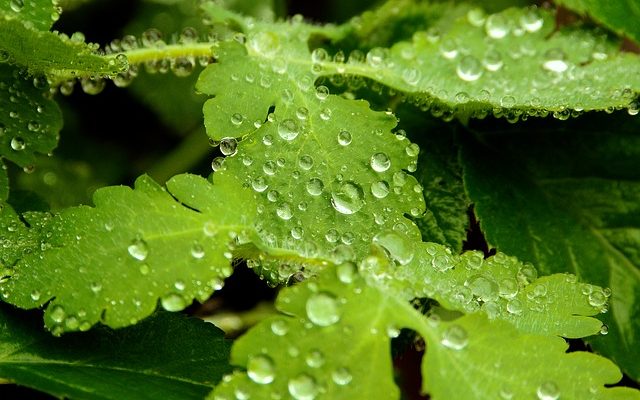 Les meilleurs endroits pour vivre avec un taux d'humidité faible