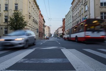 À quelle vitesse un Zèbre peut-il courir ?