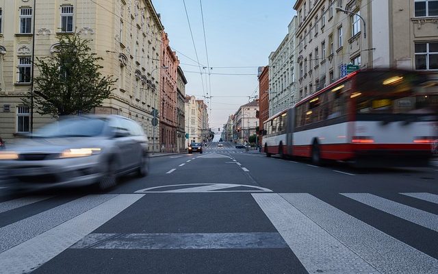 À quelle vitesse un Zèbre peut-il courir ?