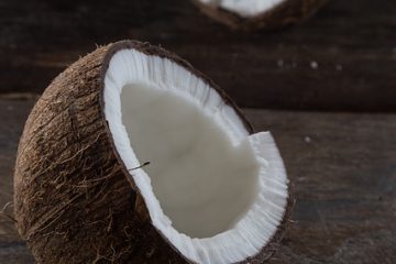 Bricolage à la noix de coco pour les enfants