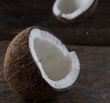Bricolage à la noix de coco pour les enfants