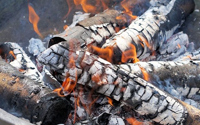 Comment convertir un fumeur de charbon de bois