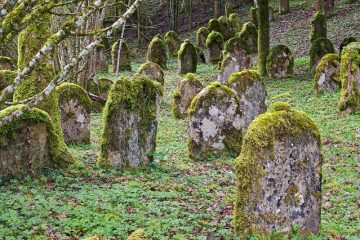 Comment enlever les lichens et les mousses des pierres de cimetière