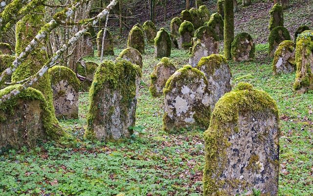 Comment enlever les lichens et les mousses des pierres de cimetière