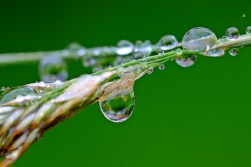 Comment faire une croix à l'aide de perles