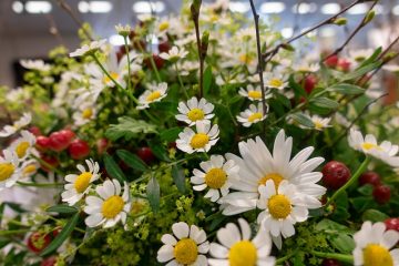 Idées de mariage de thème de marguerite