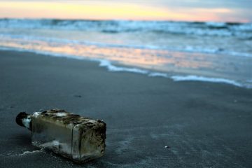 Que pouvez-vous faire avec des bouteilles de coke en plastique ?