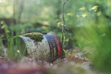 Comment construire une petite boîte en bois