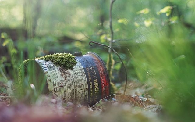 Comment construire une petite boîte en bois