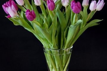 Comment disposer les fleurs dans un vase carré