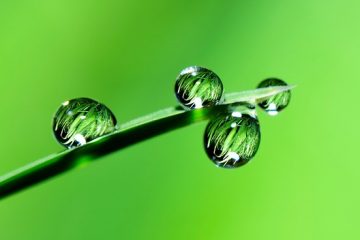 Comment empêcher les bottes de pluie en caoutchouc de grincer.