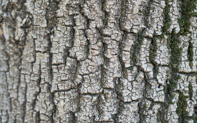 Comment identifier l'acétate de coton, soie et polyester.