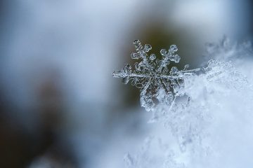 Comment se forme la neige ?